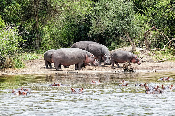 Lake Mburo National Park