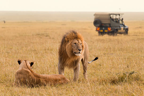 4 Day Maasai Mara Tour